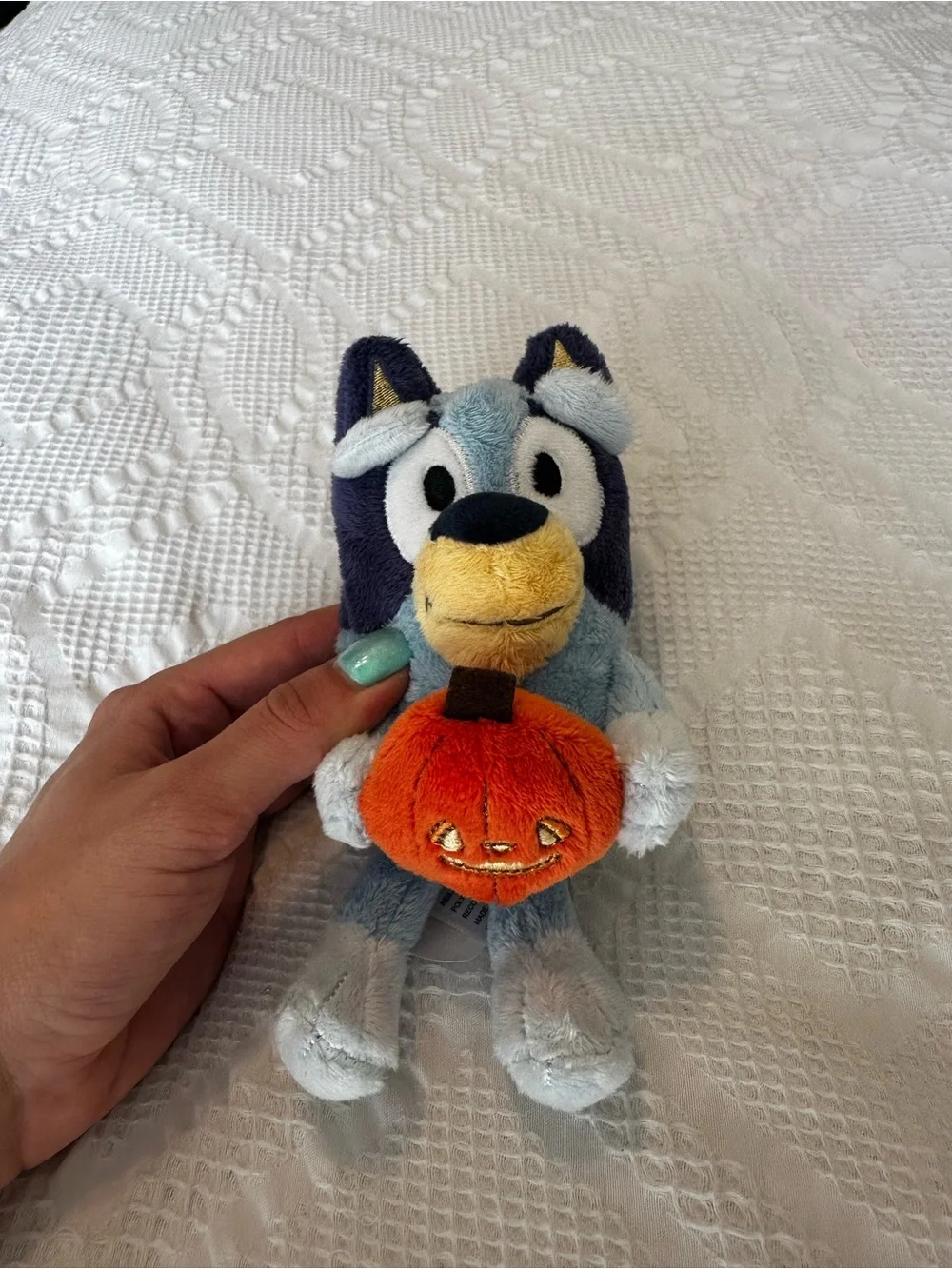 Bluey nwot only